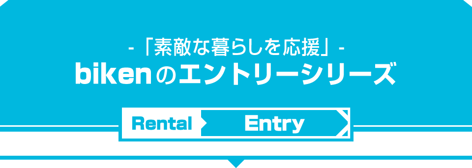  -エントリーシリーズ-