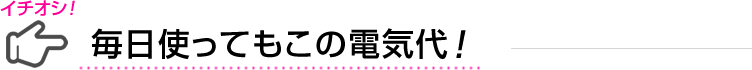 毎日使ってもこの電気代