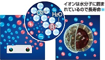 1.イオンを放出