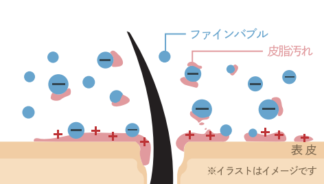 ファインバブルが皮脂汚れに吸着する表皮イメージ図