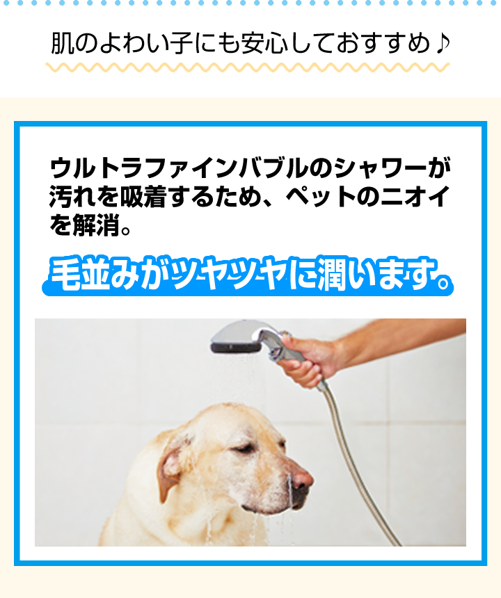 毛並みがツヤツヤに潤います。