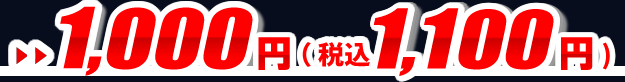 月額レンタル利用料