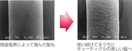 残留塩素によって傷んだ髪も使い続けてるうちにキューティクルの美しい髪へ