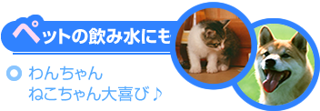 ペットの飲み水にも～わんちゃんねこちゃん大喜び♪～