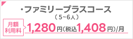 ・ファミリーコースプラス(5～6人)