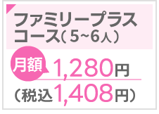 月額：1,280円(税込1,408円)