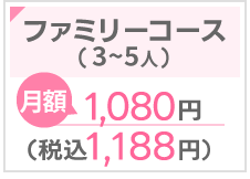 月額：1,080円(税込1,188円)
