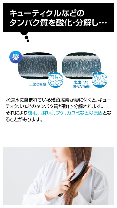 水道水に含まれている残留塩素が髪に付くと、キューティクルなどのタンパク質が酸化・分解されます。
それにより枝毛、切れ毛、フケ、カユミなどの原因となることがあります。